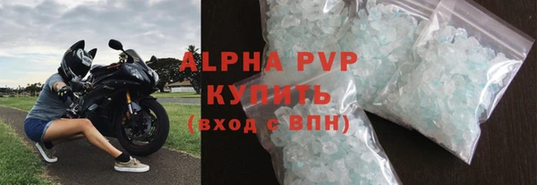 гидра Белокуриха