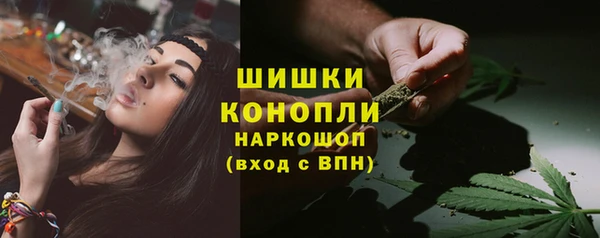 гидра Белокуриха