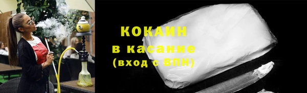 гидра Белокуриха