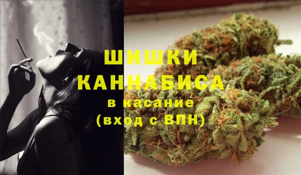 гидра Белокуриха